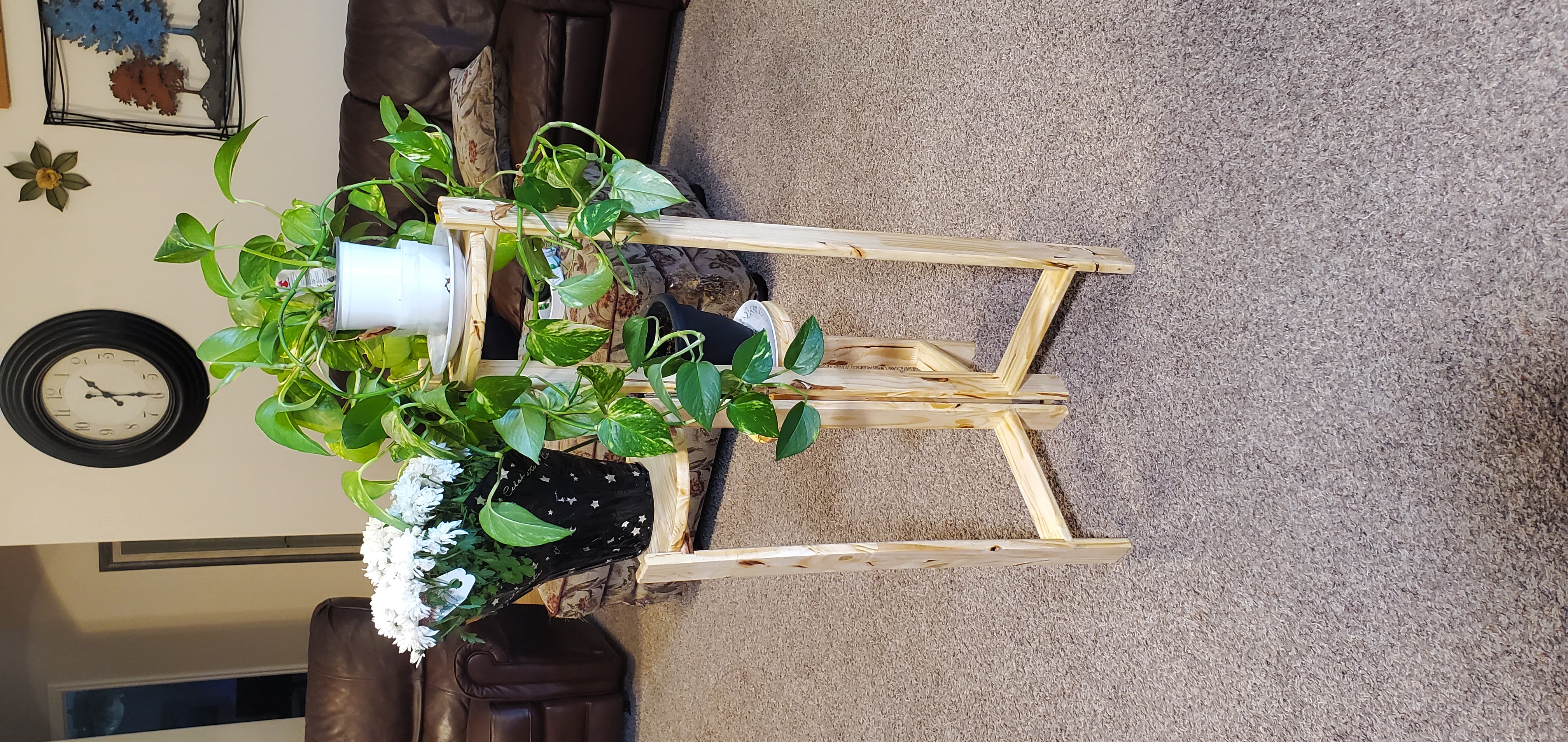 Plant Holder
